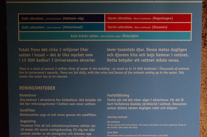 Image IMGP9764.JPG